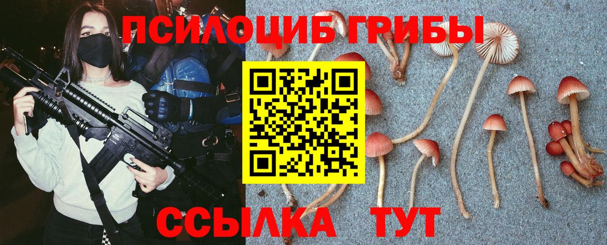 Долгопрудный  Галлюциногенные грибы ЛСД  Галлюциногенные грибы мицелий  Вход с VPN 