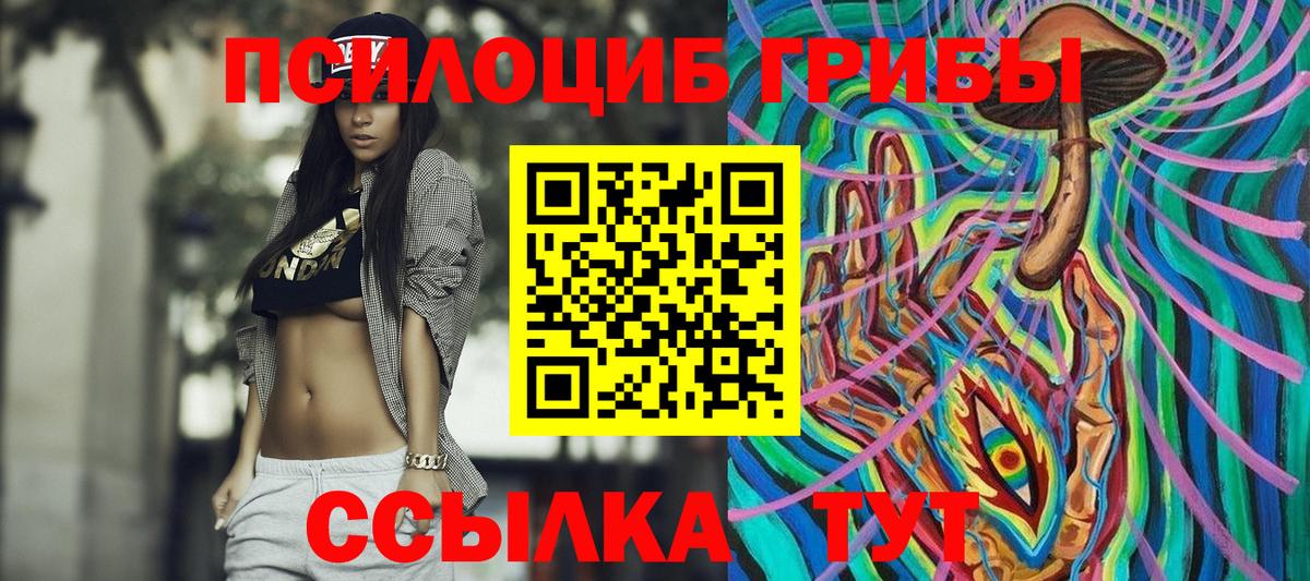Псилоцибиновые грибы мицелий Долгопрудный